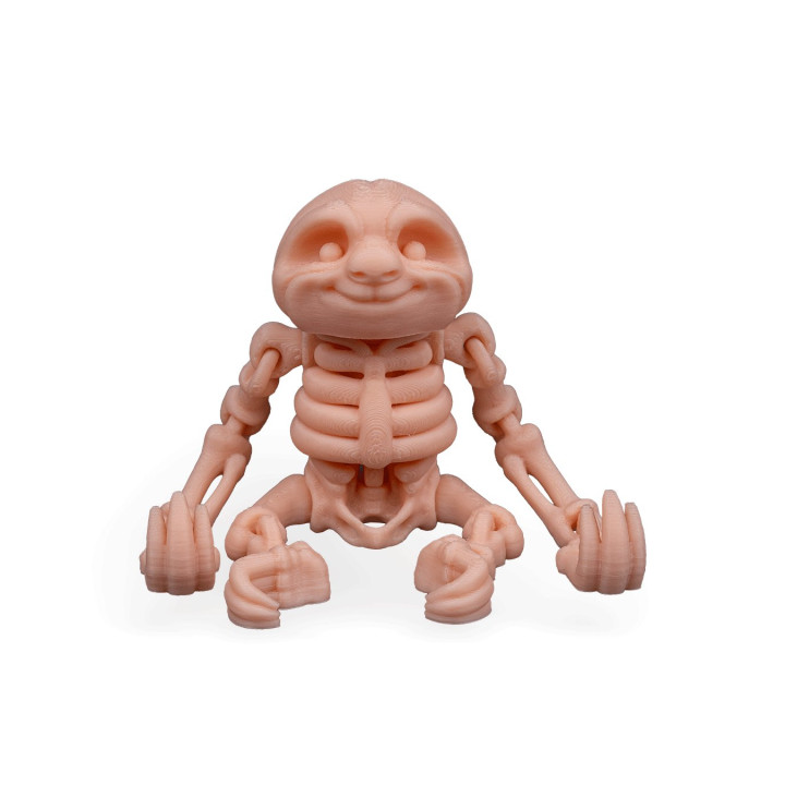 Paresseux Squelette Articulé – Skeleton Sloth
