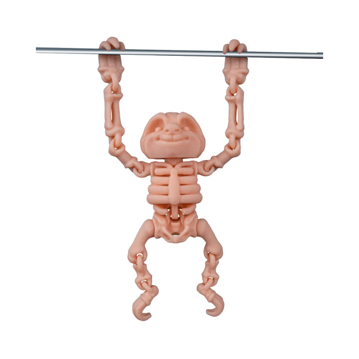 Paresseux Squelette Articulé – Skeleton Sloth