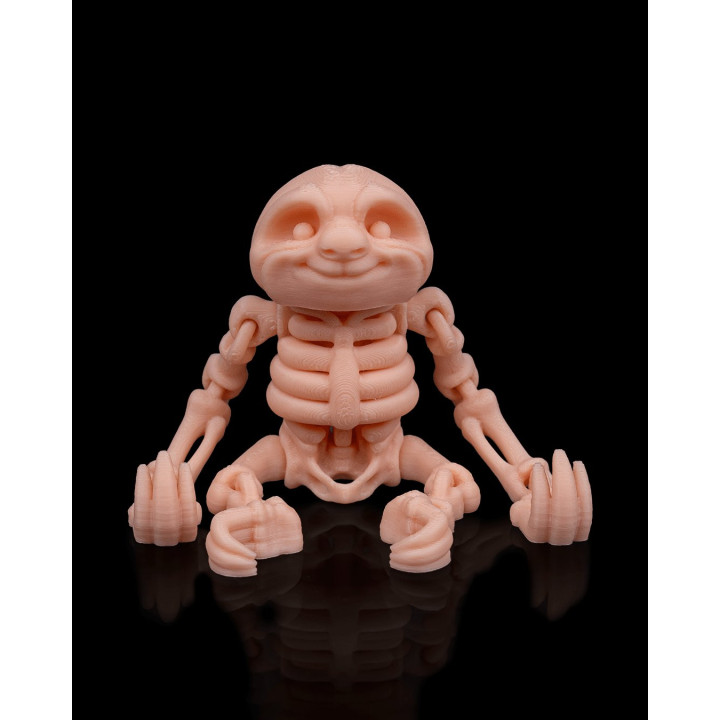 Paresseux Squelette Articulé – Skeleton Sloth