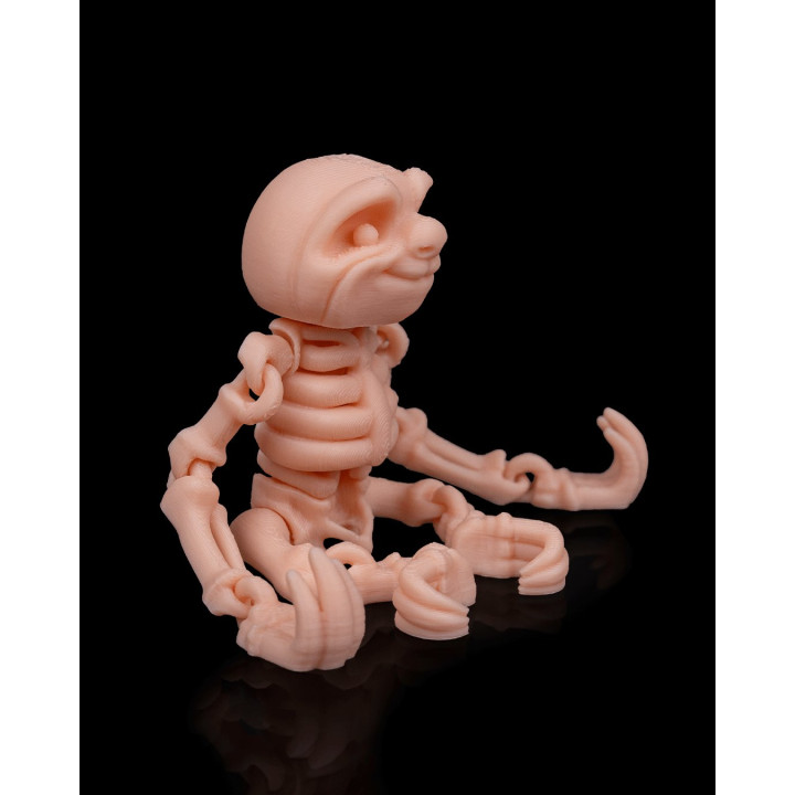 Paresseux Squelette Articulé – Skeleton Sloth