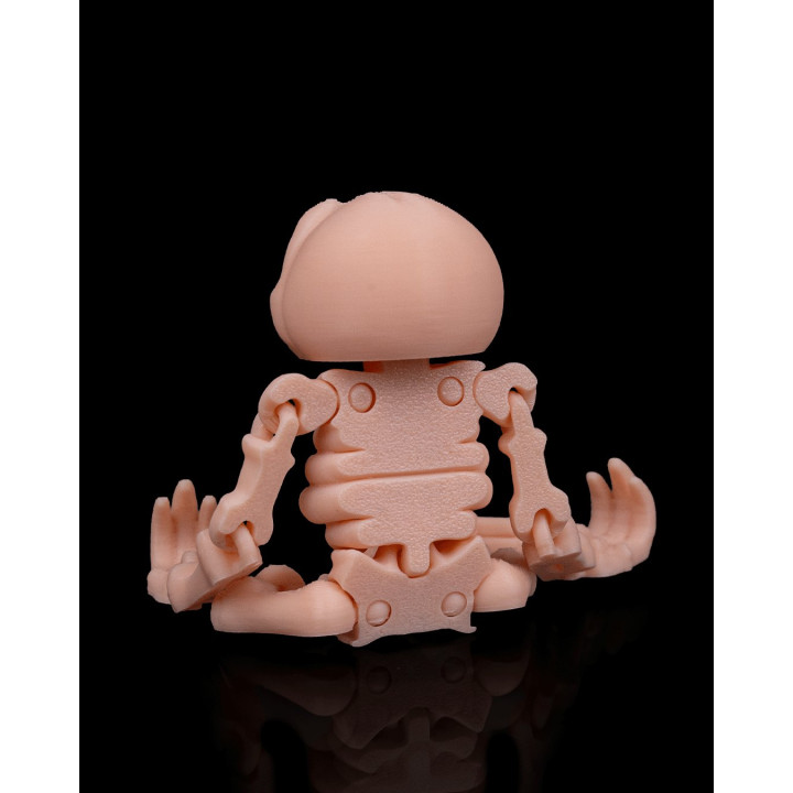 Paresseux Squelette Articulé – Skeleton Sloth