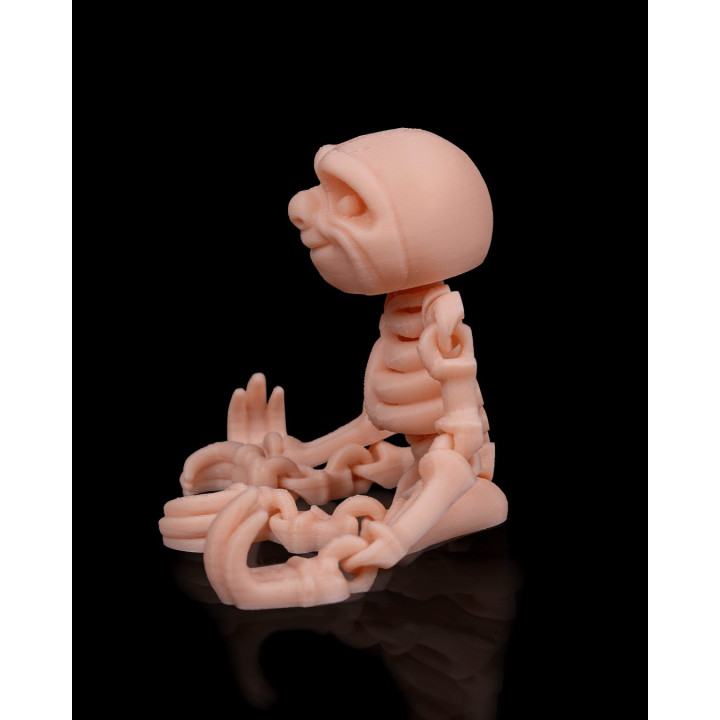 Paresseux Squelette Articulé – Skeleton Sloth