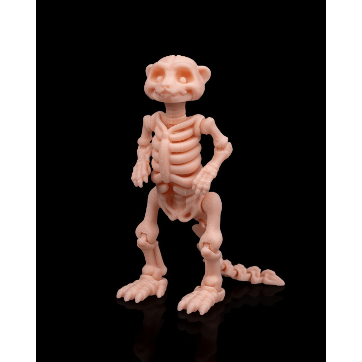 Squelette De Suricate – Figurine Articulée Originale