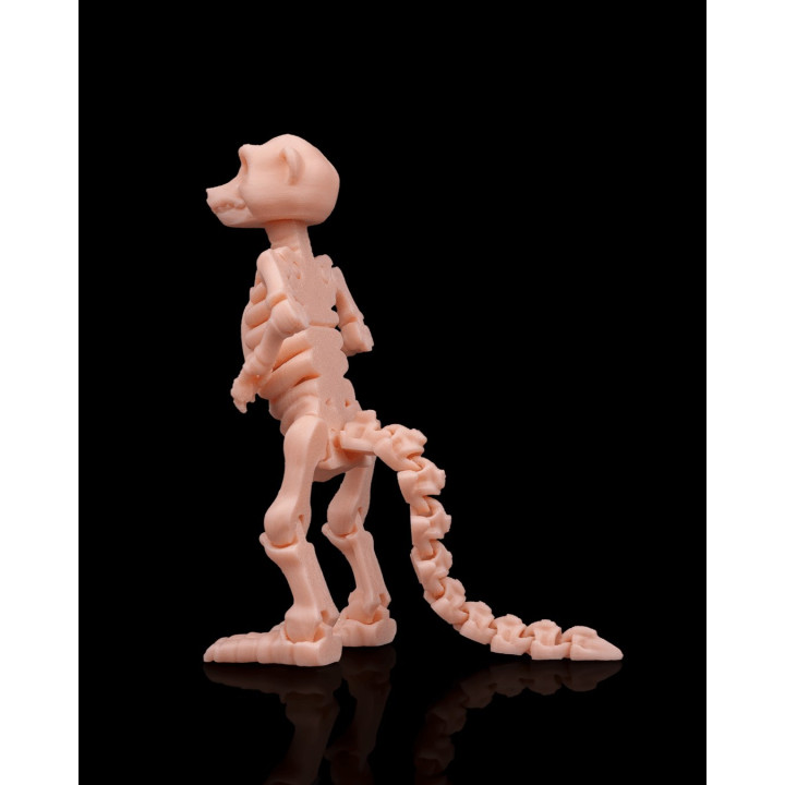 Squelette De Suricate – Figurine Articulée Originale