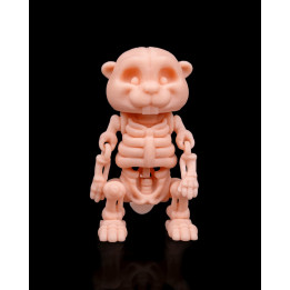 Castor Squelette Articulé – Figurine Décorative Originale