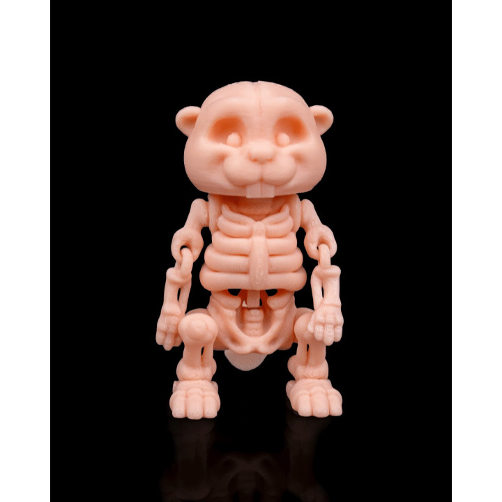 Castor Squelette Articulé – Figurine Décorative Originale