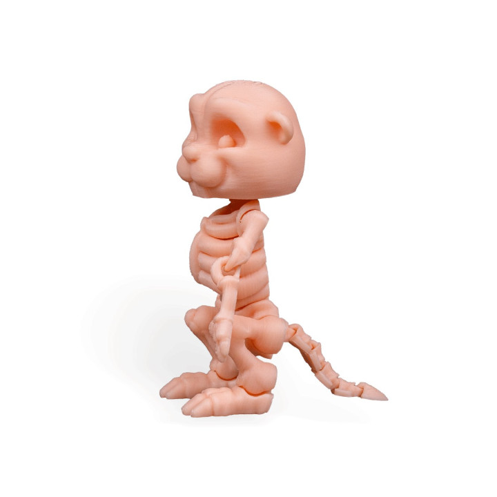 Castor Squelette Articulé – Figurine Décorative Originale