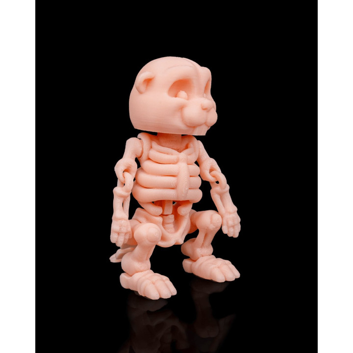 Castor Squelette Articulé – Figurine Décorative Originale