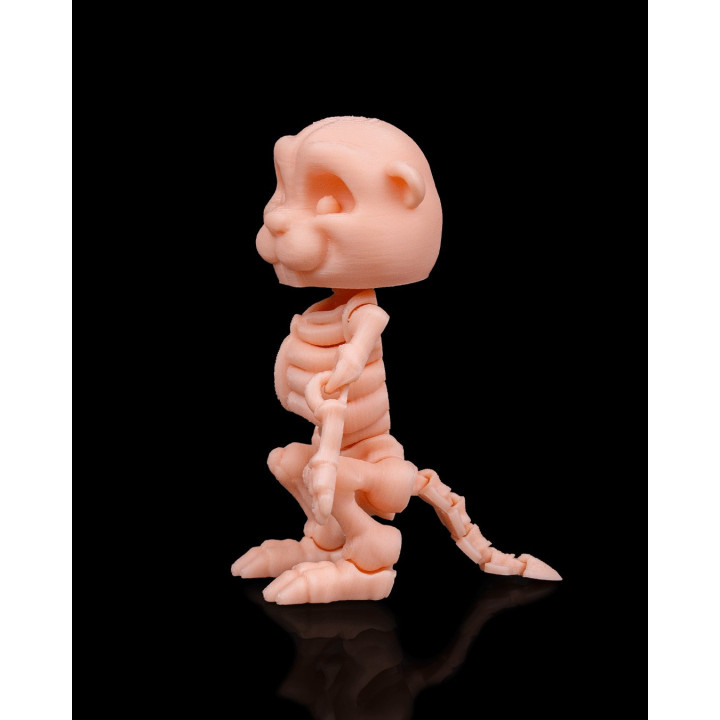 Castor Squelette Articulé – Figurine Décorative Originale
