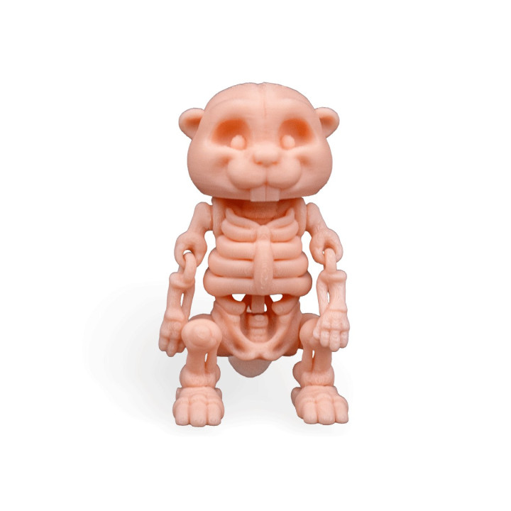 Castor Squelette Articulé – Figurine Décorative Originale