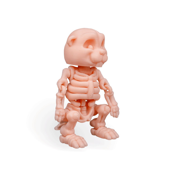 Castor Squelette Articulé – Figurine Décorative Originale