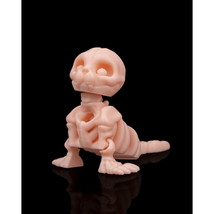 Phoque Squelette – Figurine Décorative Originale Made In Occitanie