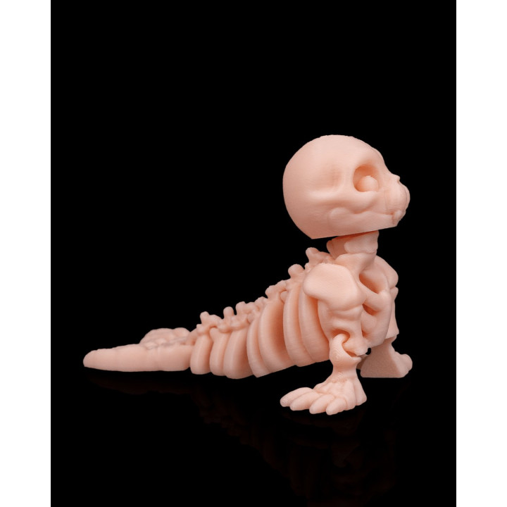 Phoque Squelette – Figurine Décorative Originale Made In Occitanie