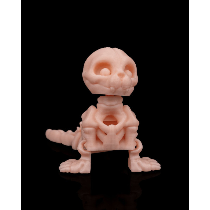 Phoque Squelette – Figurine Décorative Originale Made In Occitanie