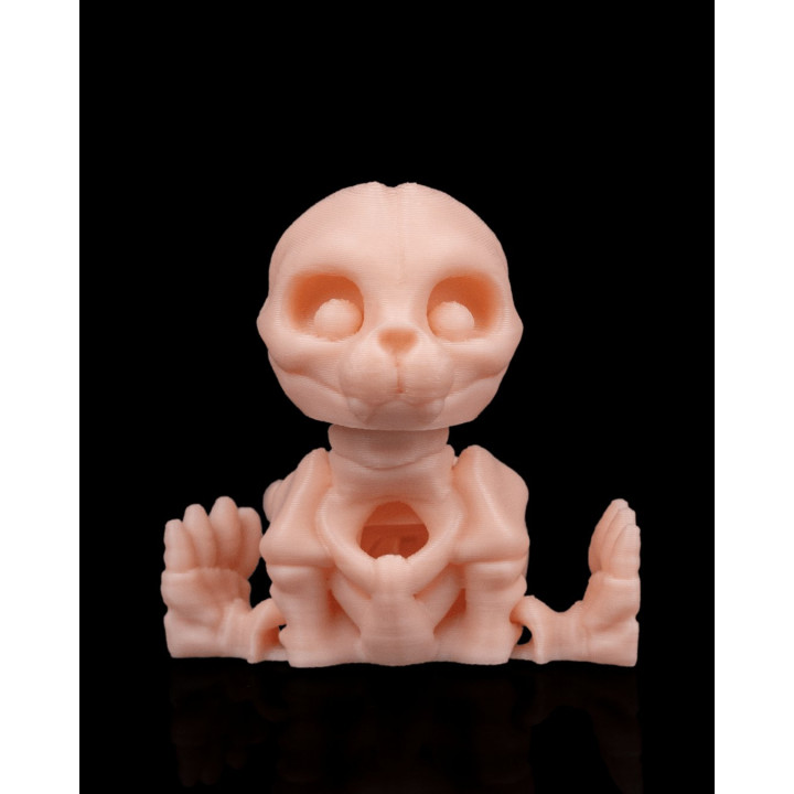 Phoque Squelette – Figurine Décorative Originale Made In Occitanie