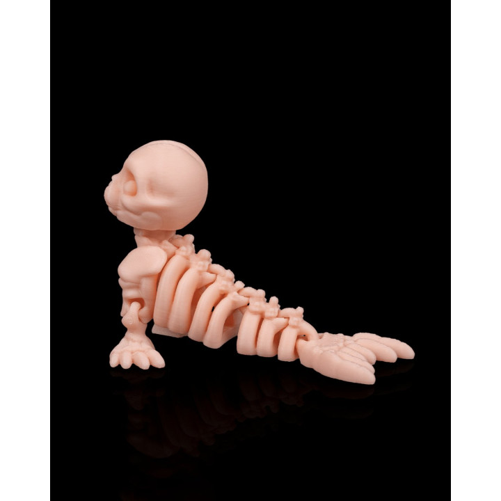 Phoque Squelette – Figurine Décorative Originale Made In Occitanie