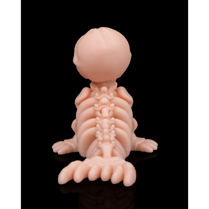 Phoque Squelette – Figurine Décorative Originale Made In Occitanie