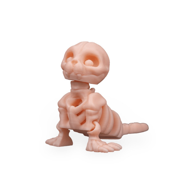 Phoque Squelette – Figurine Décorative Originale Made In Occitanie