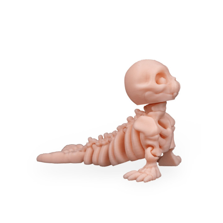Phoque Squelette – Figurine Décorative Originale Made In Occitanie