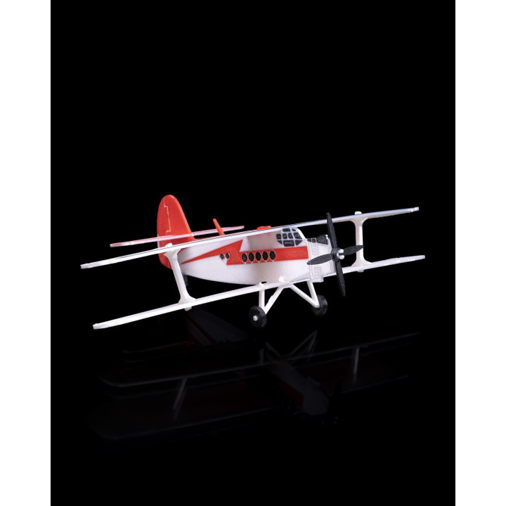 Maquette Biplale An-2 – Avion Utilitaire Légendaire