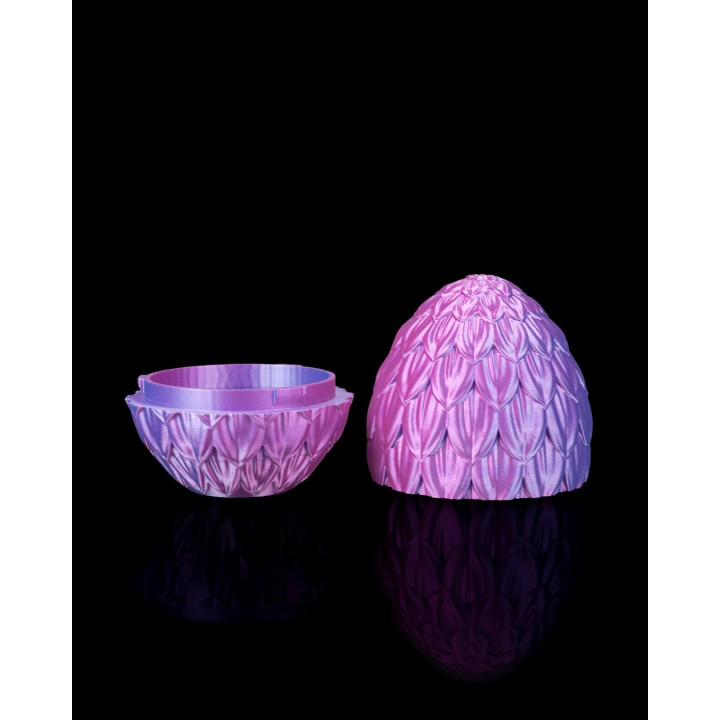 Œuf De Dragon Floral – Coffret Magique Avec Bébé Dragon