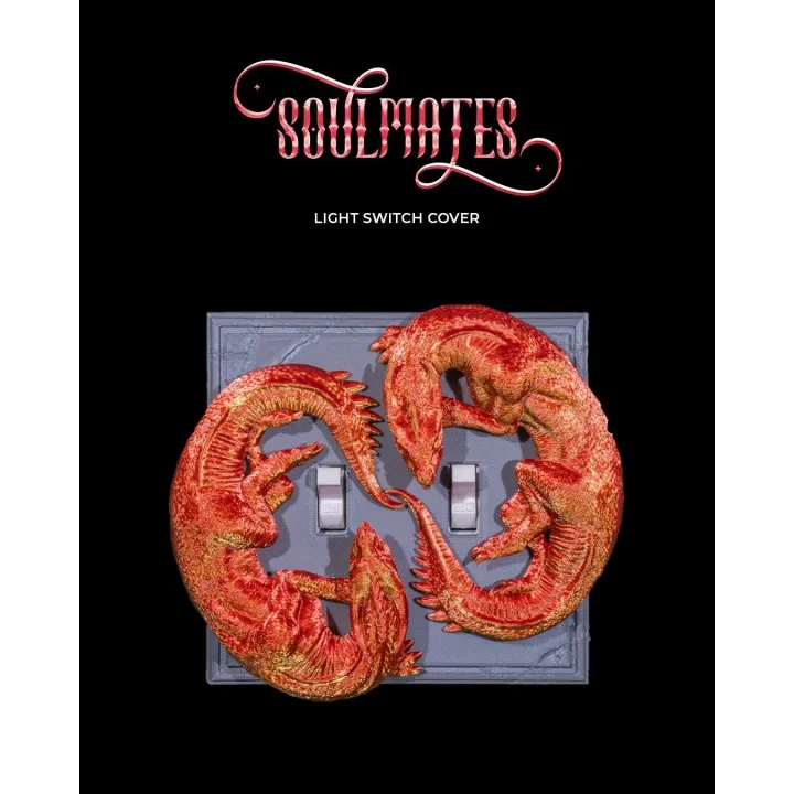 Cache Interrupteur Dragons Soulmates – Double Interrupteur