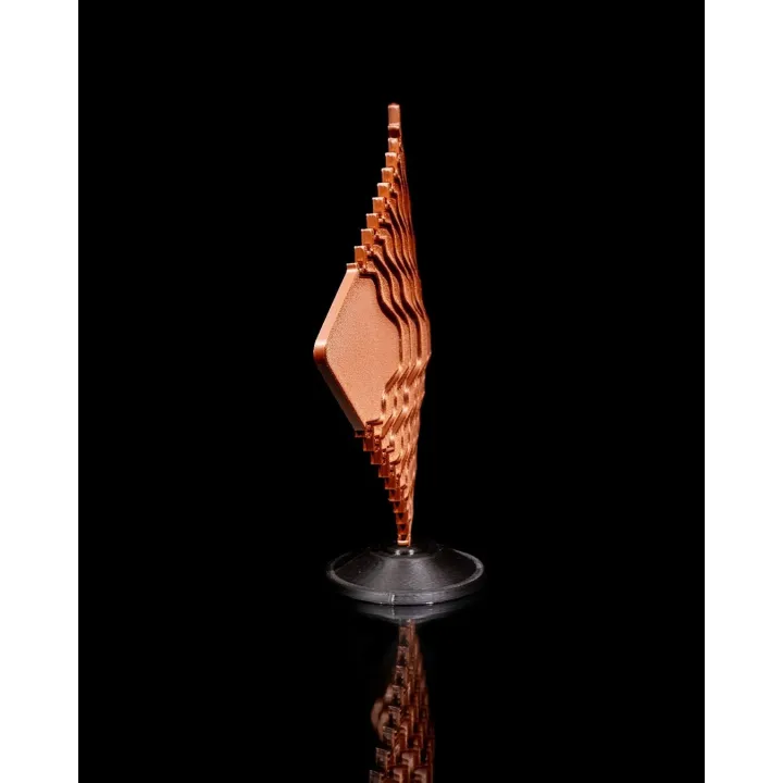 Dust – Sculpture Poisson Des Dunes