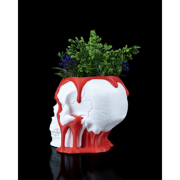 Pot De Fleurs Tête De Mort Cœur Fondant – Love Decay Planter