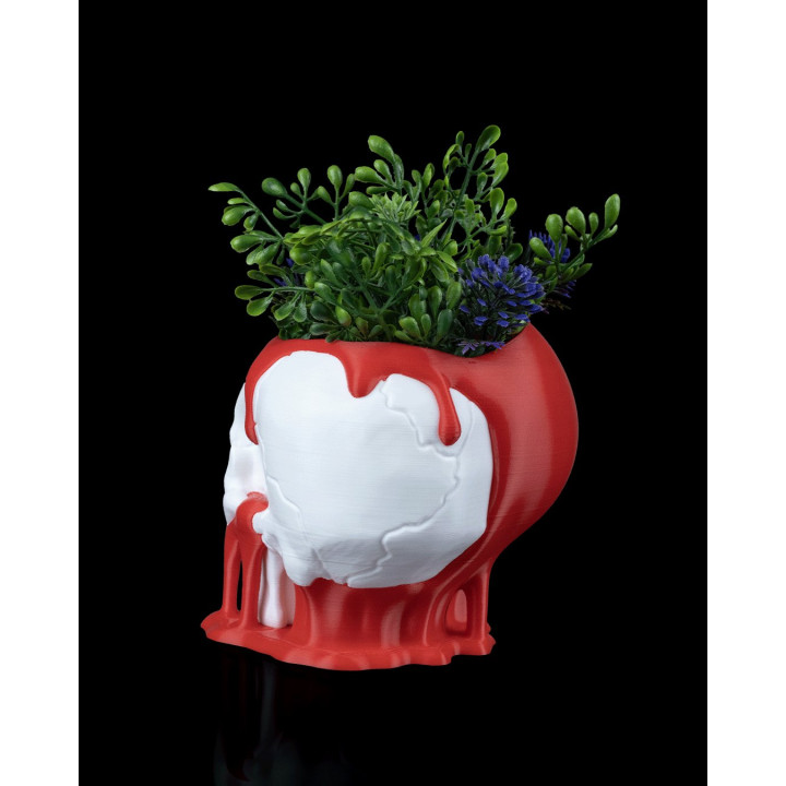 Pot De Fleurs Tête De Mort Cœur Fondant – Love Decay Planter