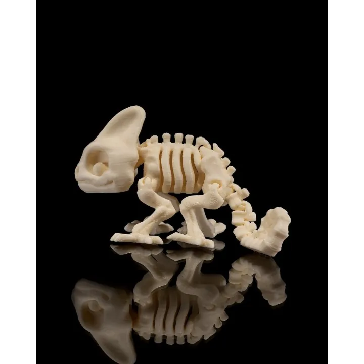 Caméléon Squelette – Figurine Made in Occitanie