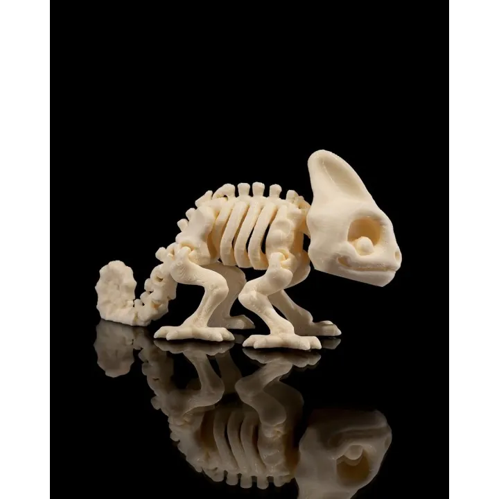 Caméléon Squelette – Figurine Made in Occitanie