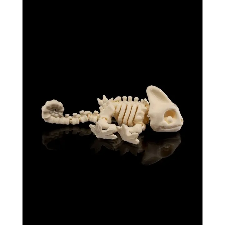 Caméléon Squelette – Figurine Made in Occitanie