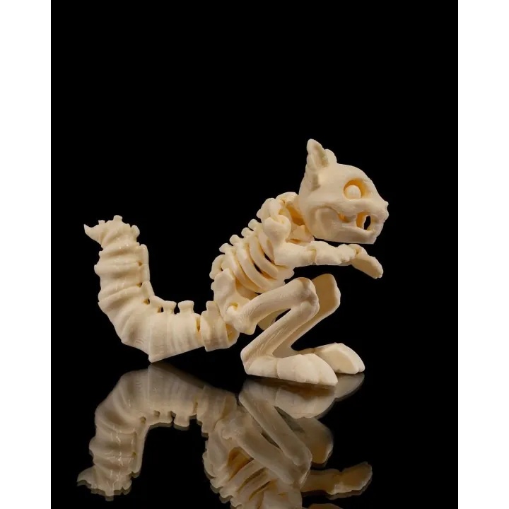Écureuil Squelette – Figurine Déco Made in Occitanie