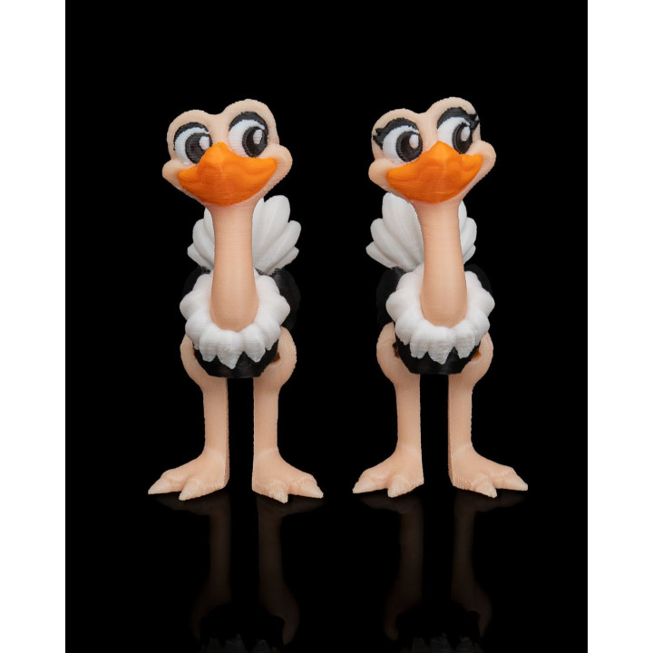 Duo D'Autruches Expressives – Figurines Décoratives Rigolotes