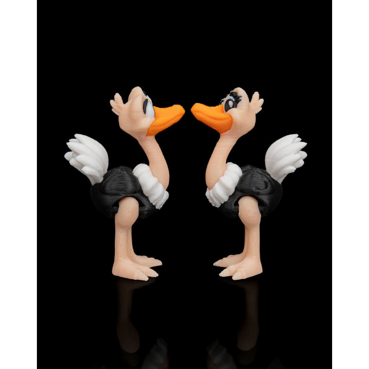 Duo D'Autruches Expressives – Figurines Décoratives Rigolotes