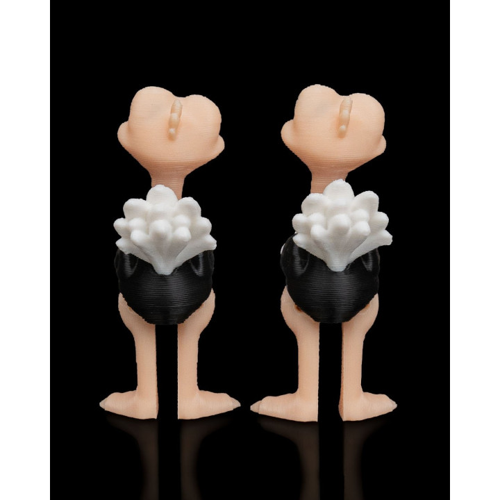 Duo D'Autruches Expressives – Figurines Décoratives Rigolotes