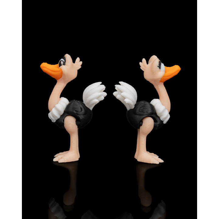 Duo D'Autruches Expressives – Figurines Décoratives Rigolotes