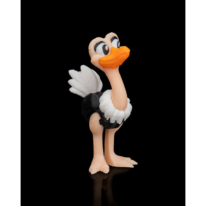 Duo D'Autruches Expressives – Figurines Décoratives Rigolotes