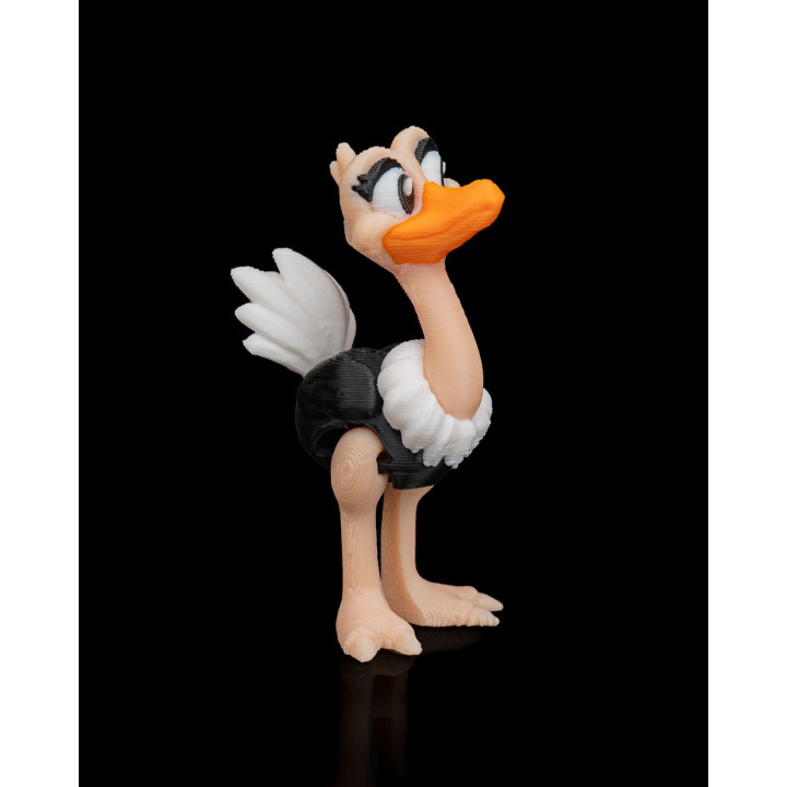 Duo D'Autruches Expressives – Figurines Décoratives Rigolotes
