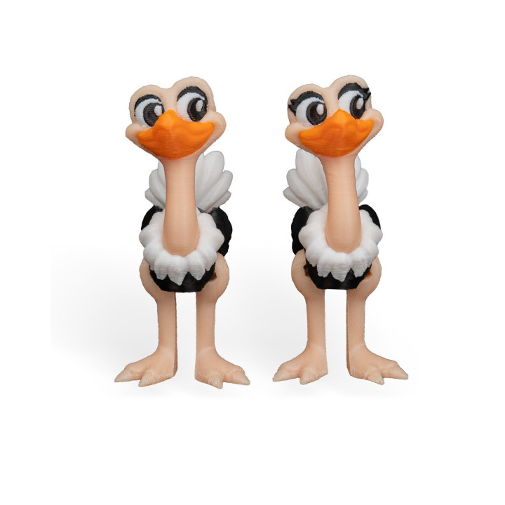 Duo D'Autruches Expressives – Figurines Décoratives Rigolotes