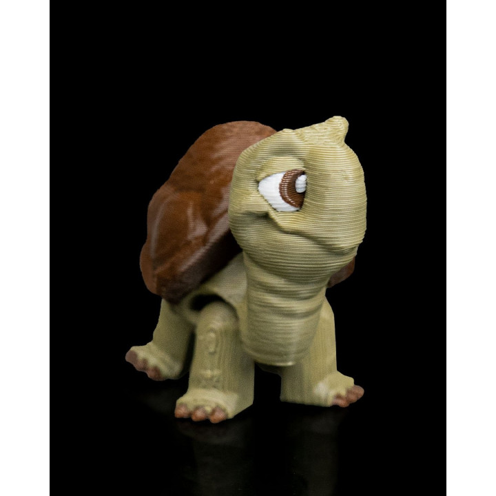 Duo De Tortues Rigolotes – Figurines Décoratives Faites Main En Occitanie