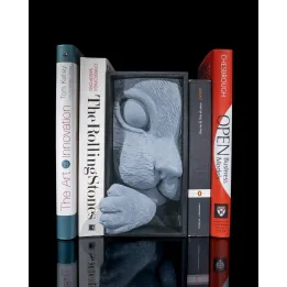 Serre-livres Chat Book Nook – Made in Occitanie