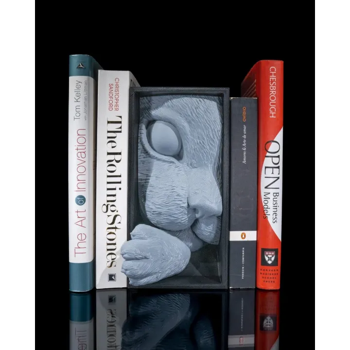 Serre-livres Chat Book Nook – Made in Occitanie