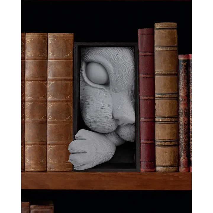 Serre-livres Chat Book Nook – Made in Occitanie