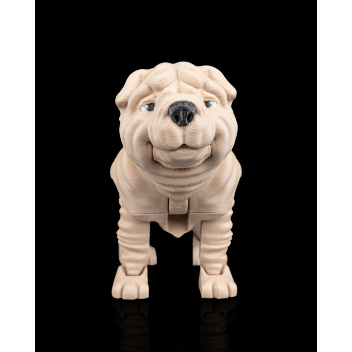 Louis Le Shar Pei – Figurine Articulée & Accessoires