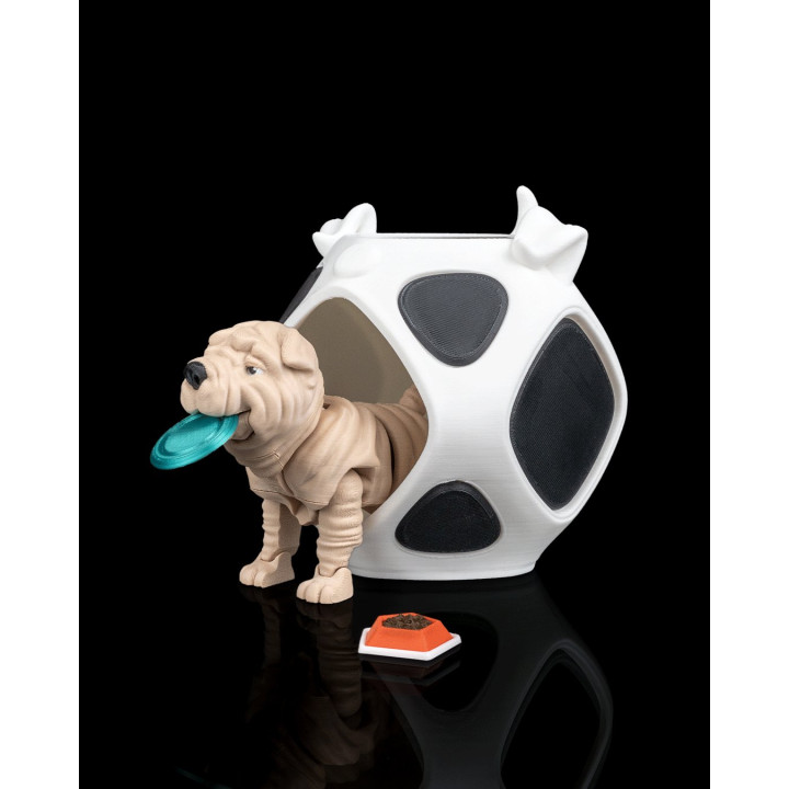 Louis Le Shar Pei – Figurine Articulée & Accessoires