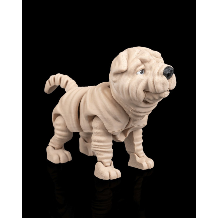 Louis Le Shar Pei – Figurine Articulée & Accessoires