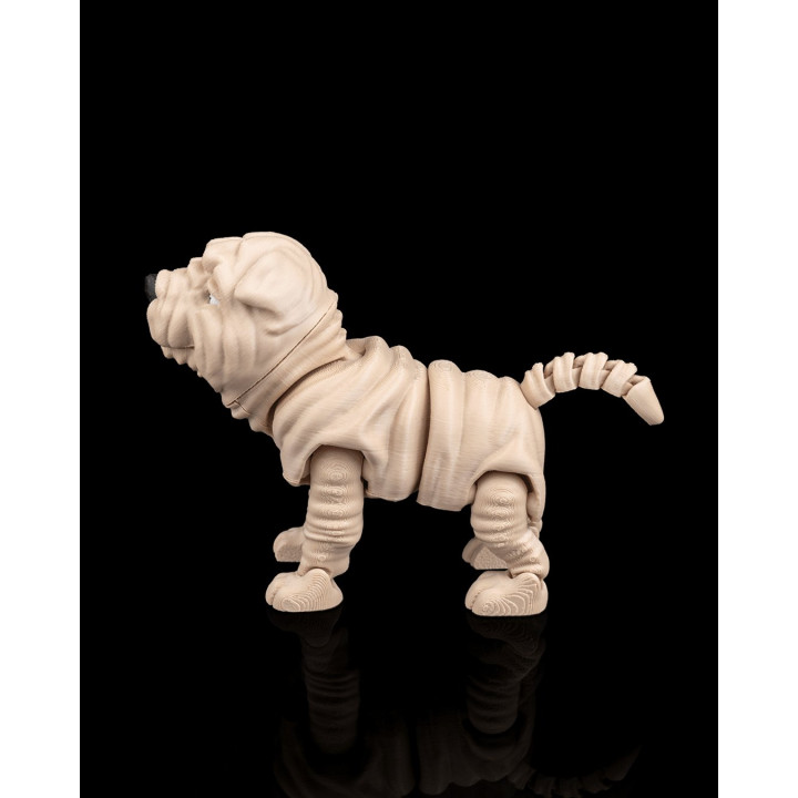 Louis Le Shar Pei – Figurine Articulée & Accessoires