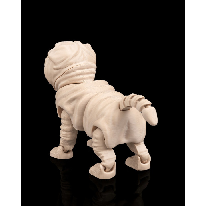 Louis Le Shar Pei – Figurine Articulée & Accessoires