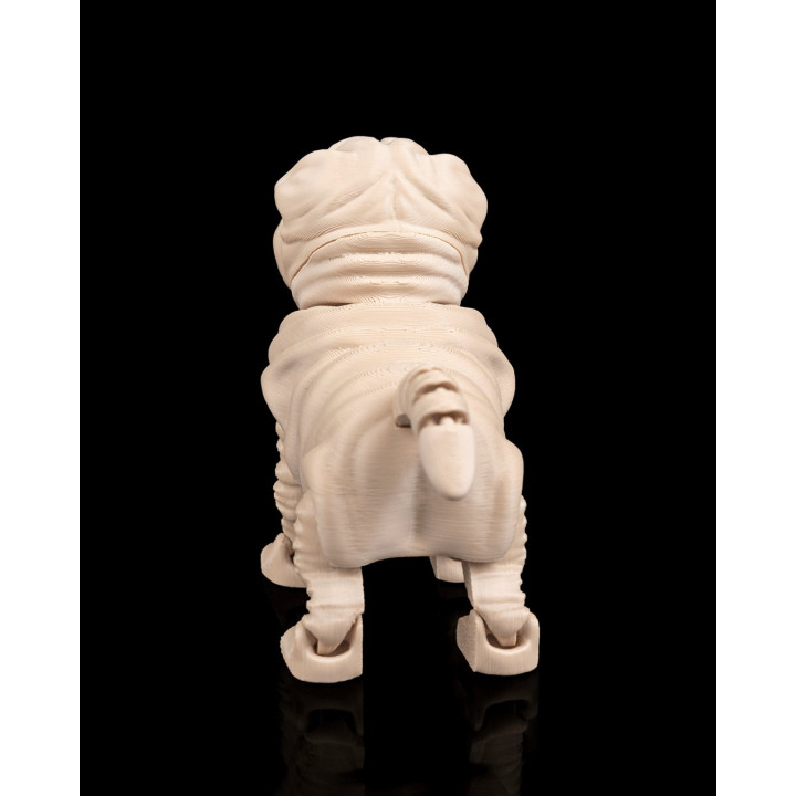 Louis Le Shar Pei – Figurine Articulée & Accessoires